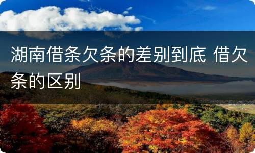 湖南借条欠条的差别到底 借欠条的区别