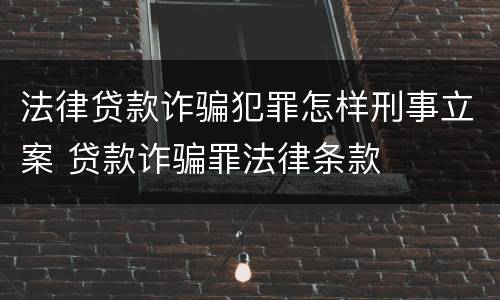 法律贷款诈骗犯罪怎样刑事立案 贷款诈骗罪法律条款