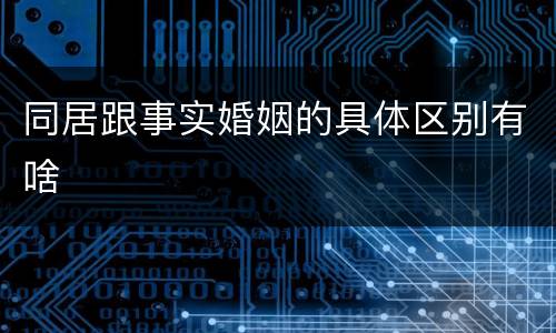 同居跟事实婚姻的具体区别有啥