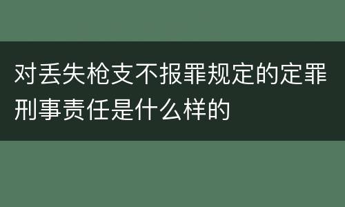 对丢失枪支不报罪规定的定罪刑事责任是什么样的