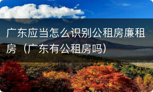 广东应当怎么识别公租房廉租房（广东有公租房吗）