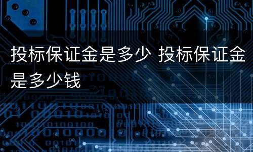投标保证金是多少 投标保证金是多少钱