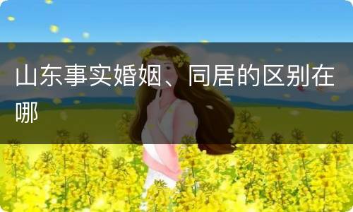 山东事实婚姻、同居的区别在哪