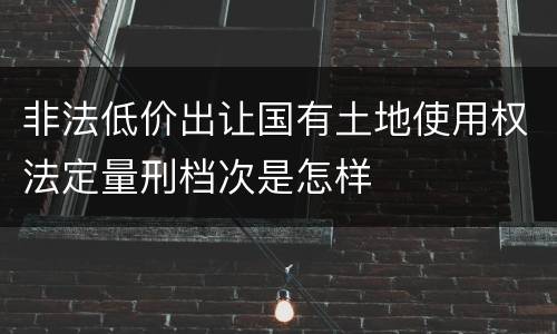 非法低价出让国有土地使用权法定量刑档次是怎样
