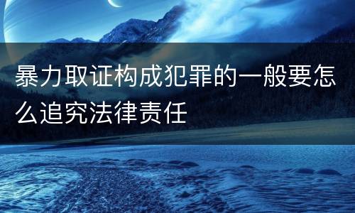 暴力取证构成犯罪的一般要怎么追究法律责任
