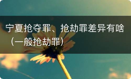 宁夏抢夺罪、抢劫罪差异有啥（一般抢劫罪）