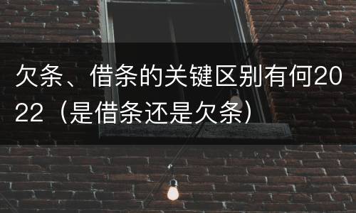 欠条、借条的关键区别有何2022（是借条还是欠条）