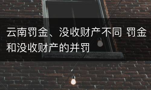 云南罚金、没收财产不同 罚金和没收财产的并罚