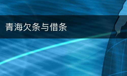青海欠条与借条