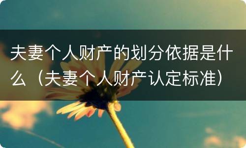 夫妻个人财产的划分依据是什么（夫妻个人财产认定标准）