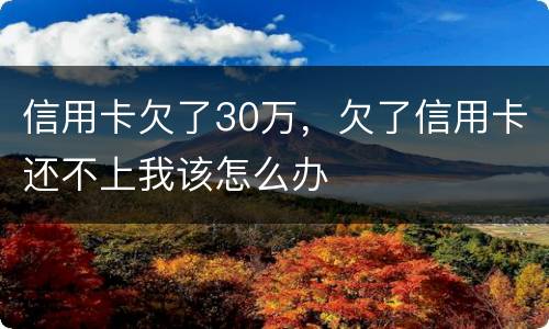 信用卡欠了30万，欠了信用卡还不上我该怎么办