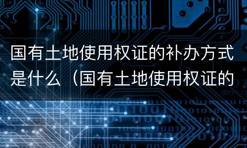 国有土地使用权证的补办方式是什么（国有土地使用权证的补办方式是什么呢）