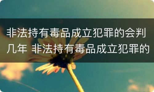 非法持有毒品成立犯罪的会判几年 非法持有毒品成立犯罪的会判几年吗