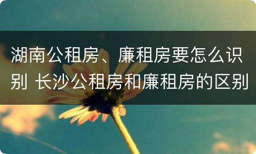 湖南公租房、廉租房要怎么识别 长沙公租房和廉租房的区别