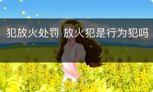 犯放火处罚 放火犯是行为犯吗