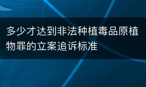 多少才达到非法种植毒品原植物罪的立案追诉标准