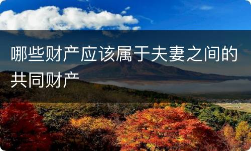 哪些财产应该属于夫妻之间的共同财产