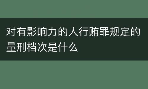 对有影响力的人行贿罪规定的量刑档次是什么