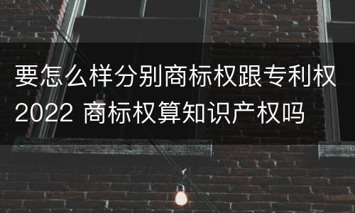 要怎么样分别商标权跟专利权2022 商标权算知识产权吗