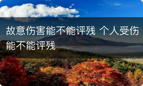 故意伤害能不能评残 个人受伤能不能评残
