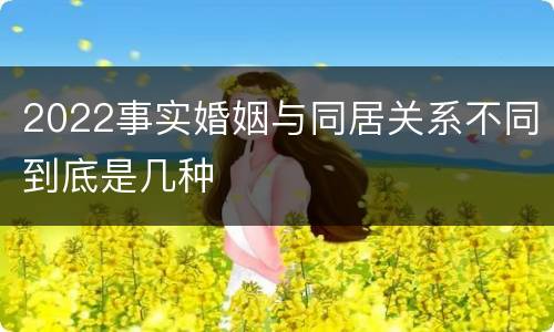 2022事实婚姻与同居关系不同到底是几种