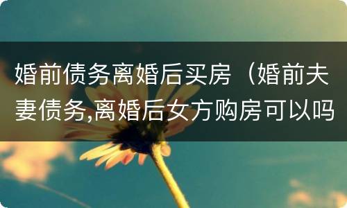 婚前债务离婚后买房（婚前夫妻债务,离婚后女方购房可以吗）