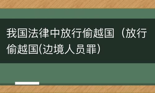 我国法律中放行偷越国（放行偷越国(边境人员罪）