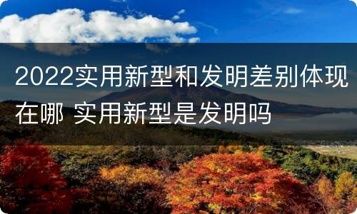 2022实用新型和发明差别体现在哪 实用新型是发明吗