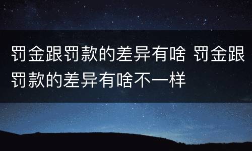 罚金跟罚款的差异有啥 罚金跟罚款的差异有啥不一样