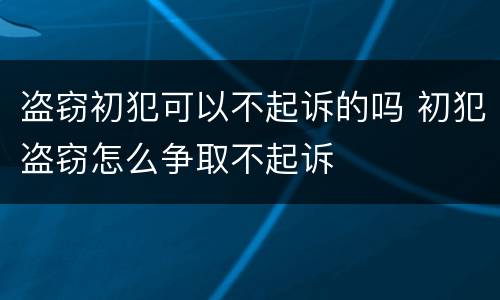 盗窃初犯可以不起诉的吗 初犯盗窃怎么争取不起诉