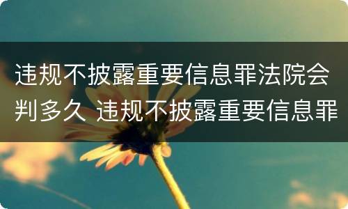 违规不披露重要信息罪法院会判多久 违规不披露重要信息罪法院会判多久呢
