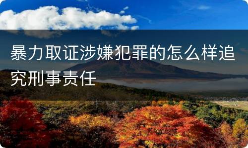 暴力取证涉嫌犯罪的怎么样追究刑事责任