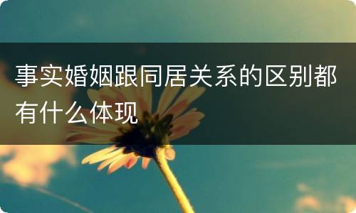 事实婚姻跟同居关系的区别都有什么体现