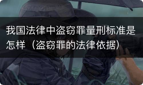 我国法律中盗窃罪量刑标准是怎样（盗窃罪的法律依据）