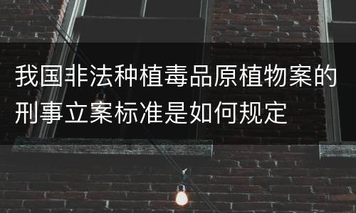 我国非法种植毒品原植物案的刑事立案标准是如何规定