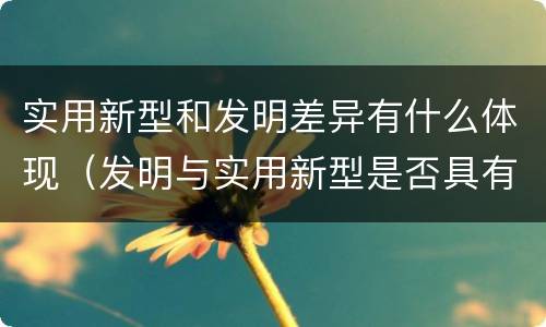 实用新型和发明差异有什么体现（发明与实用新型是否具有实用性）