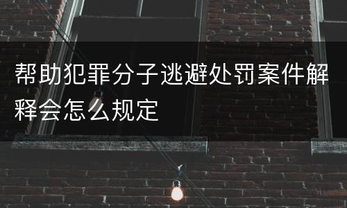 帮助犯罪分子逃避处罚案件解释会怎么规定