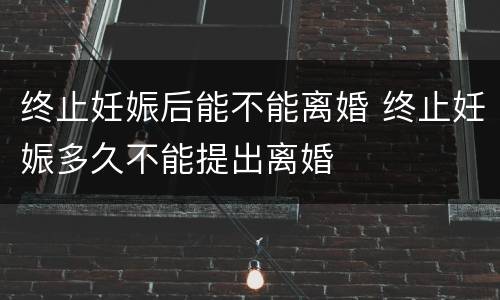 终止妊娠后能不能离婚 终止妊娠多久不能提出离婚