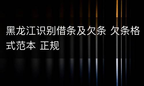 黑龙江识别借条及欠条 欠条格式范本 正规