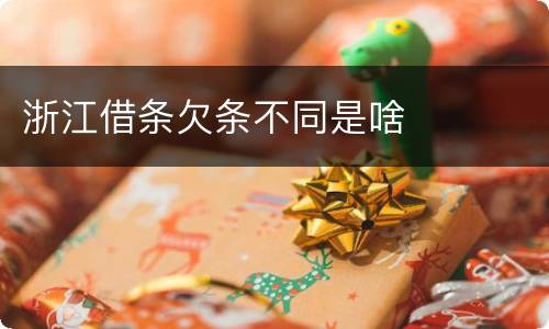 浙江借条欠条不同是啥