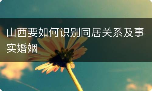 山西要如何识别同居关系及事实婚姻