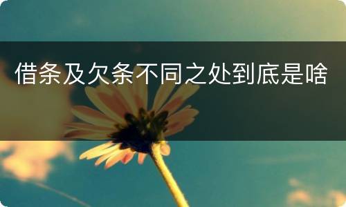 借条及欠条不同之处到底是啥