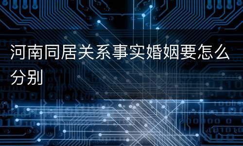 河南同居关系事实婚姻要怎么分别