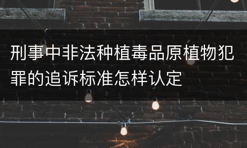 刑事中非法种植毒品原植物犯罪的追诉标准怎样认定