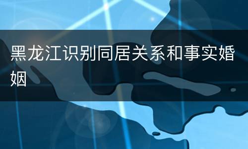 黑龙江识别同居关系和事实婚姻