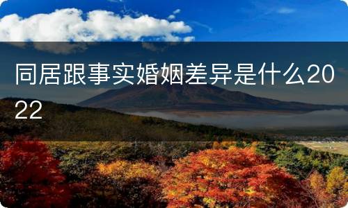 同居跟事实婚姻差异是什么2022