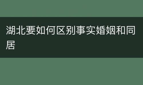 湖北要如何区别事实婚姻和同居