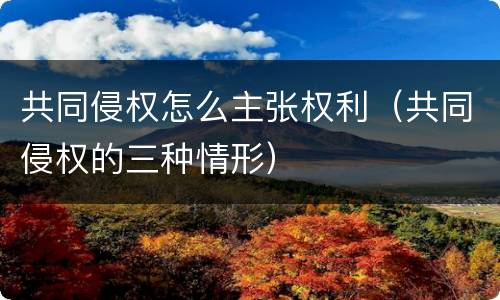 共同侵权怎么主张权利（共同侵权的三种情形）
