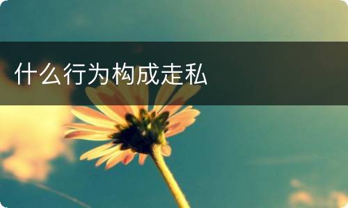 什么行为构成走私