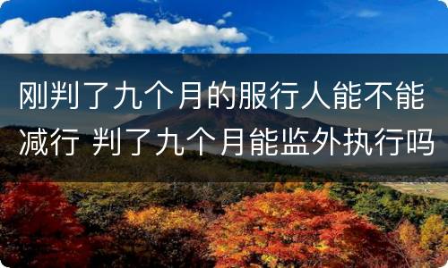 刚判了九个月的服行人能不能减行 判了九个月能监外执行吗
